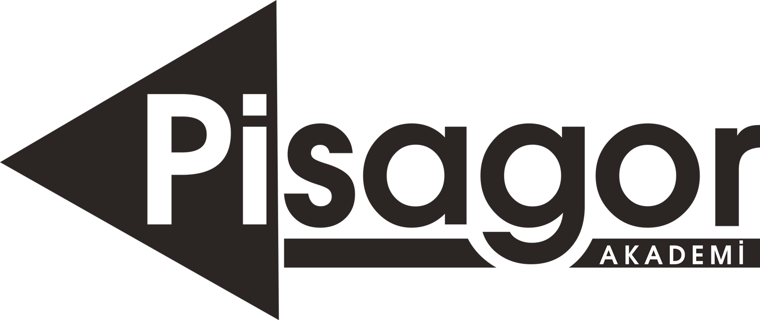 Pisagor Akademi